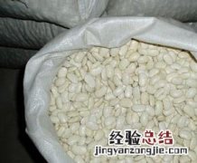 白芸豆营养价值 白芸豆营养价值表