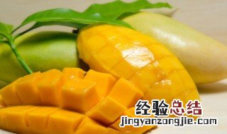 鹰嘴芒需要放软吗 鹰嘴芒是否需要放软的解析
