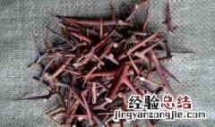 皂角刺的功效与作用 看完你就知道了