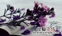 门当户对的当的意思 门当户对的当解释