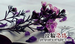 门当户对的当的意思 门当户对的当解释