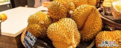 榴莲树几年结果 盆栽榴莲树几年结果