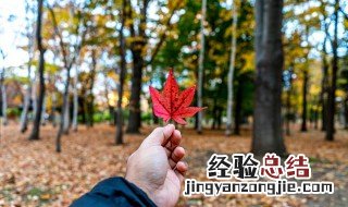 秋分三候中的一候指的是什么内容呢? 秋分一候二候三候是什么意思