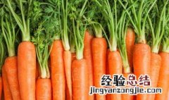 萝卜干豆豉怎样做好吃 豆豉胡萝卜怎么做好吃