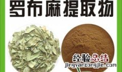 罗布麻的功效与作用 具体作用介绍
