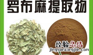 罗布麻的功效与作用 具体作用介绍
