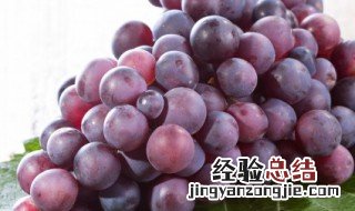 葡萄烧酒怎样制作方法 如何制作葡萄烧酒