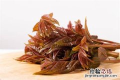 大棚香椿种植技术：一亩地种植多少棵？产量多少？