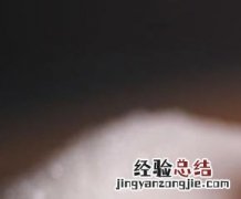 西红柿露天种植技术要求 西红柿露天种植技术