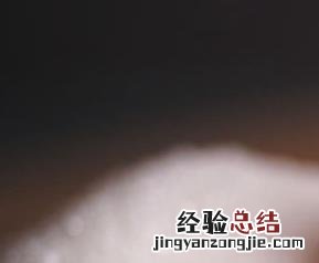 西红柿露天种植技术要求 西红柿露天种植技术