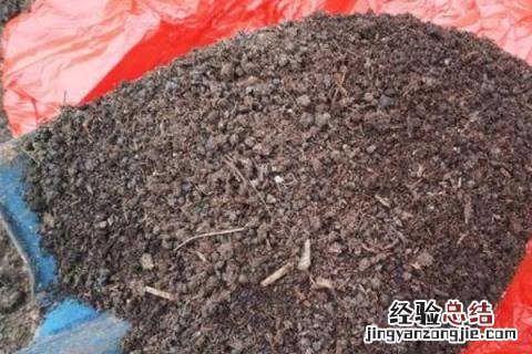 羊粪怎么发酵才可以当肥料 羊粪怎么发酵才可以当肥料视频
