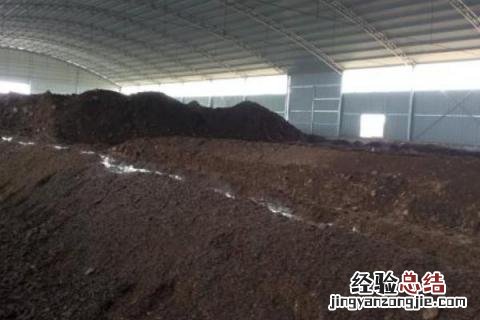 羊粪怎么发酵才可以当肥料 羊粪怎么发酵才可以当肥料视频