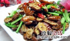 干煸蚕蛹最正宗的做法窍门 干煸蚕蛹最正宗的做法