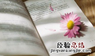 宣的拼音和组词 宣的拼音和组词的内容