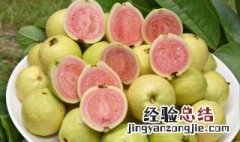 芭乐的功效与作用 芭乐4个主要的功效与作用