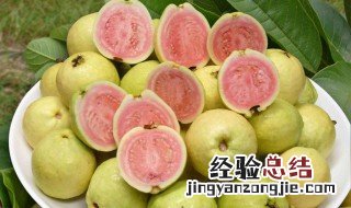 芭乐的功效与作用 芭乐4个主要的功效与作用
