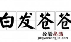 白发苍苍什么意思 白发苍苍的含义