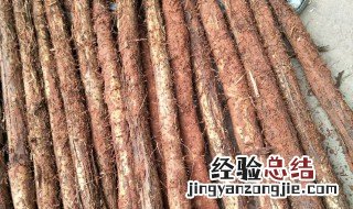 竹篙薯如何保存 竹篙薯怎么做好吃