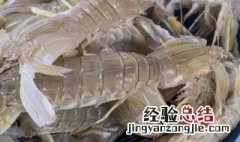 皮皮虾清蒸做法 皮皮虾清蒸做法窍门
