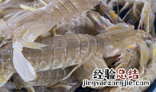 皮皮虾清蒸做法 皮皮虾清蒸做法窍门