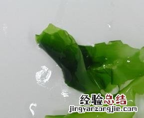 海白菜功效与营养 海白菜的营养和功效