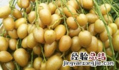 鸡心黄皮果怎么吃 鸡心黄皮有哪些吃法