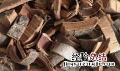 山核桃树皮的功效与作用及禁忌 山核桃树皮的功效与作用及禁忌介绍