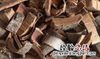 山核桃树皮的功效与作用及禁忌 山核桃树皮的功效与作用及禁忌介绍