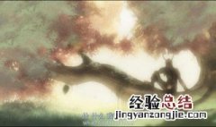西子绪的恐怖小说有哪些