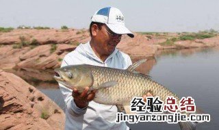 串钩钓草鱼技巧 串钩钓草鱼技巧图解