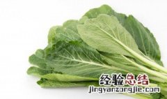 青菜钵的正宗做法窍门 青菜钵的做法