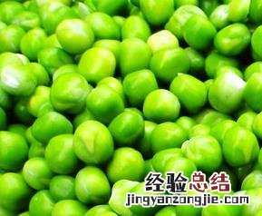 豌豆的种类和图片 豌豆的种类和图片介绍