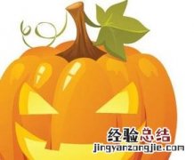 南瓜的种植过程图片 南瓜种植技术图片