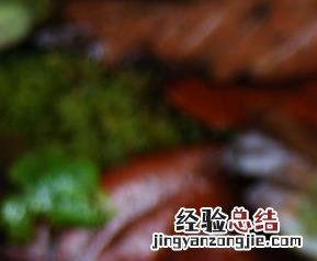 吃银耳还减肥怎么回事 吃银耳还减肥