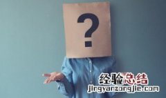 停组词语 停字组词