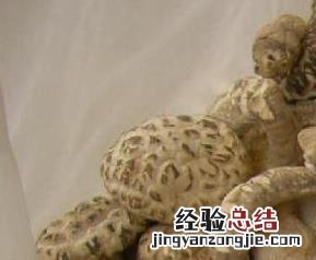 干香菇的功效和作用 干香菇的功效与作用及食用方法