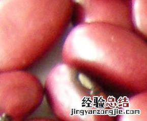 芸豆分类和保存 芸豆分类和保存方法