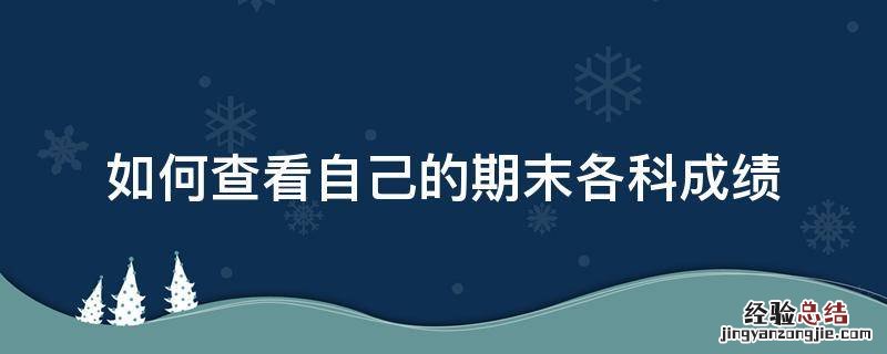 怎么查看自己的期末考试成绩 如何查看自己的期末各科成绩