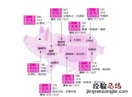 猪后座是哪个部位，猪后排是哪个位置