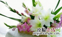送花百合花一般搭配几朵 百合花送多少朵合适