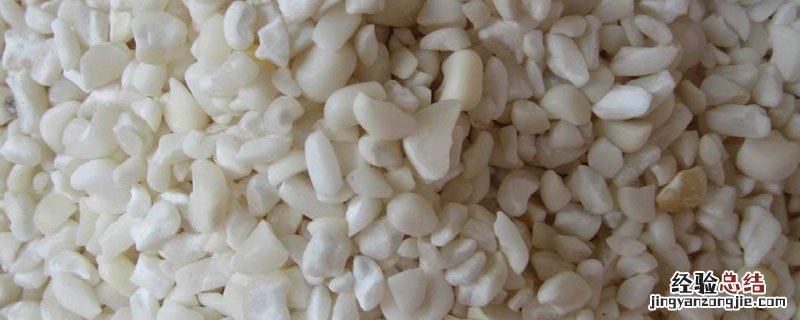 玉米是什么部位 玉米头是玉米哪个部位