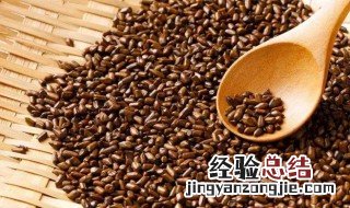 决明子茶的功效与作用 决明子茶的功效与作用简述