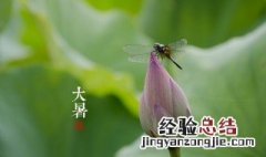属于夏天的节气有哪些 24节气中属于夏季的节气有