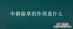 中耕除草的作用是什么 中耕除草的作用是什么意思