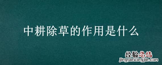 中耕除草的作用是什么 中耕除草的作用是什么意思