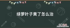 绿萝叶子黄了怎么治 绿萝黄叶了怎么办?