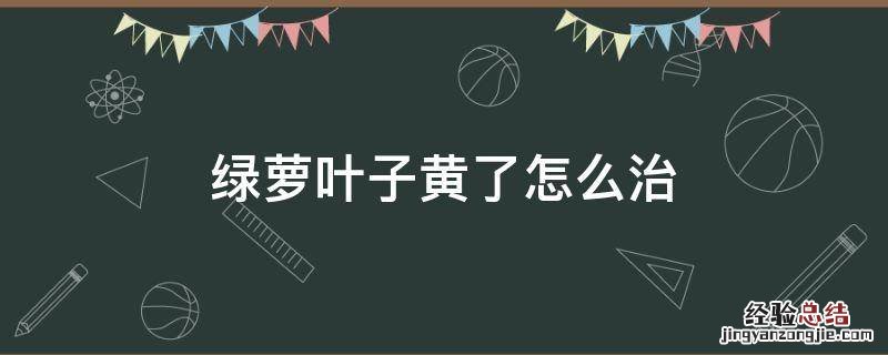 绿萝叶子黄了怎么治 绿萝黄叶了怎么办?