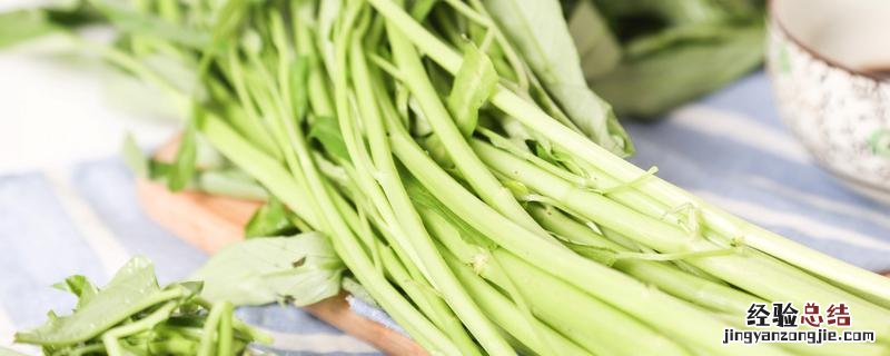 空心菜怎么种植,空心菜怎么种植方法在水上种