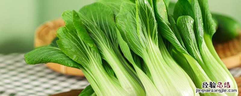 小白菜怎么种植，小白菜怎么种植方法