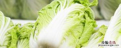 大白菜怎么种植，大白菜怎么种植方法